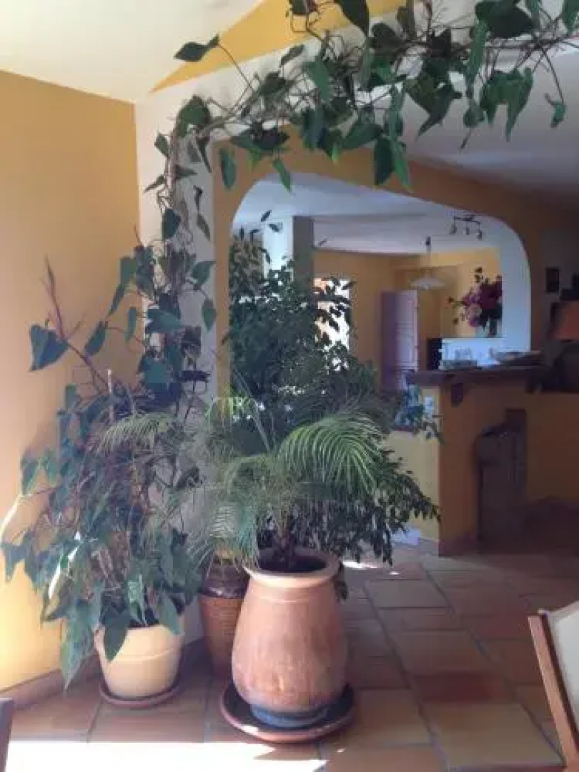 Casa Fiorita