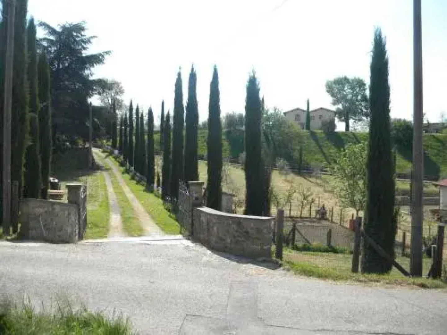 Azienda Agricola il Chiuso