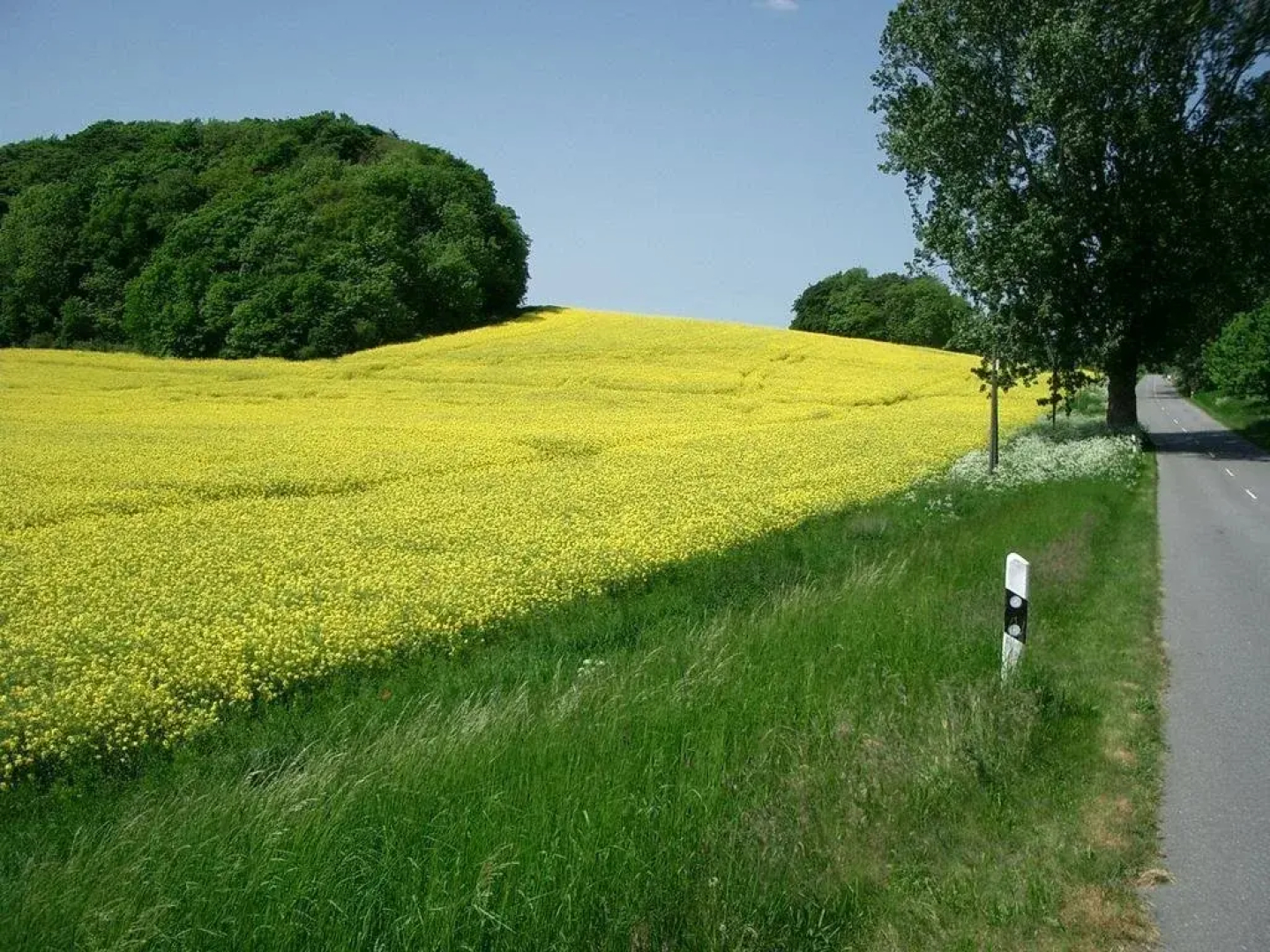 Ferienhaus Meeresrauschen