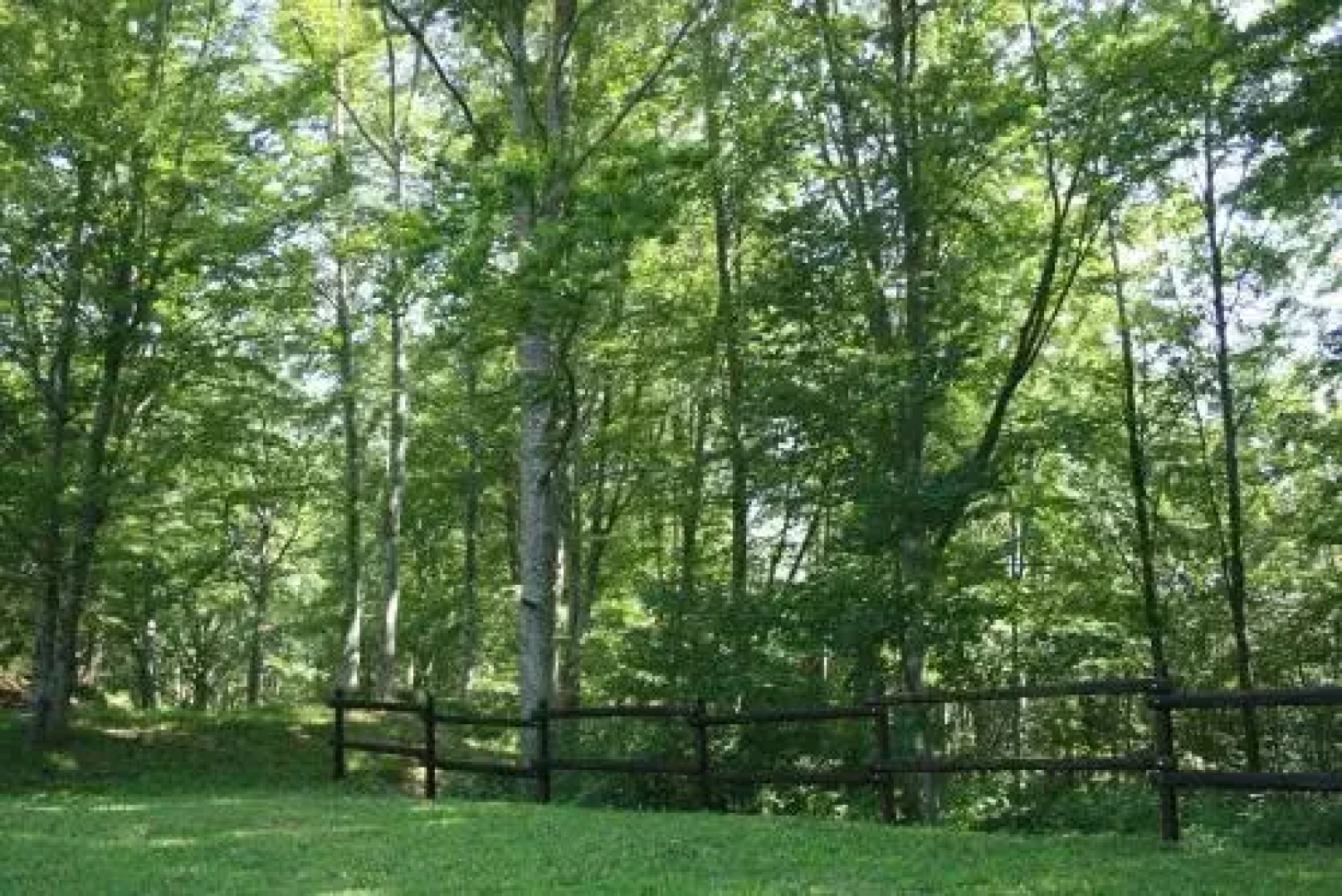 Campeggio Di Schia