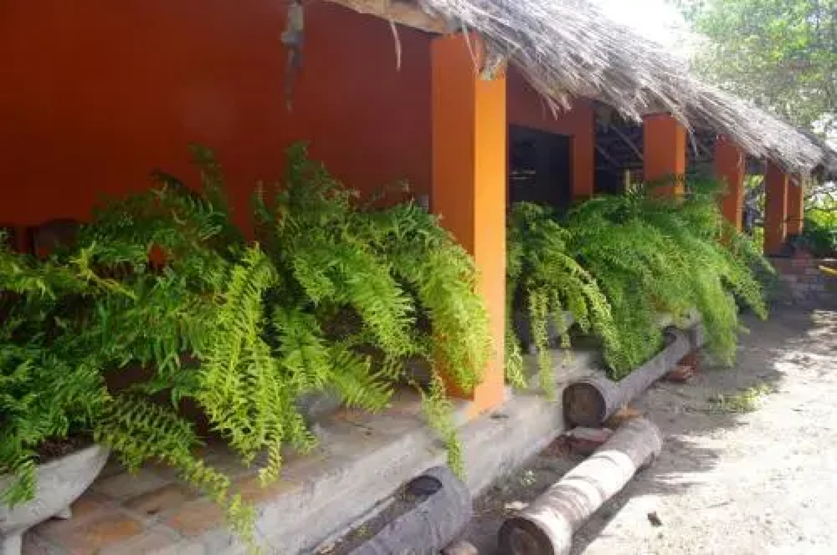 Paraíso do Caju Camping