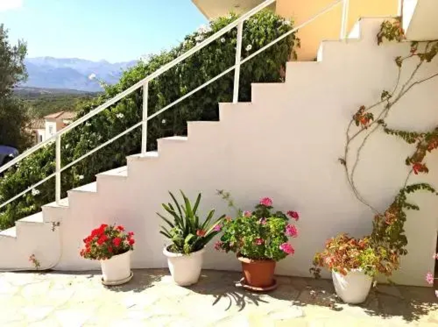 Artemis Apartments