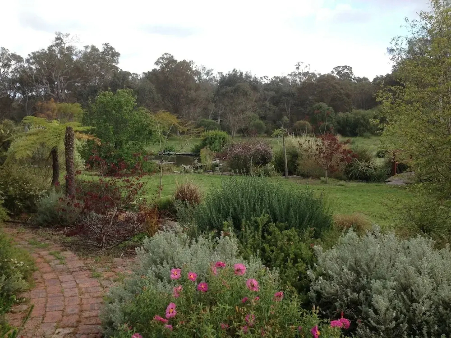 Glenelg on King Bed & Breakfast