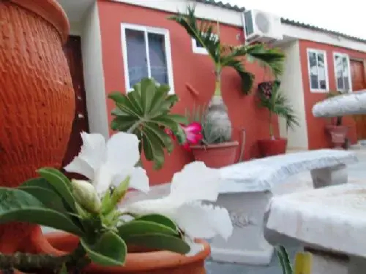 Terrakota Apartments