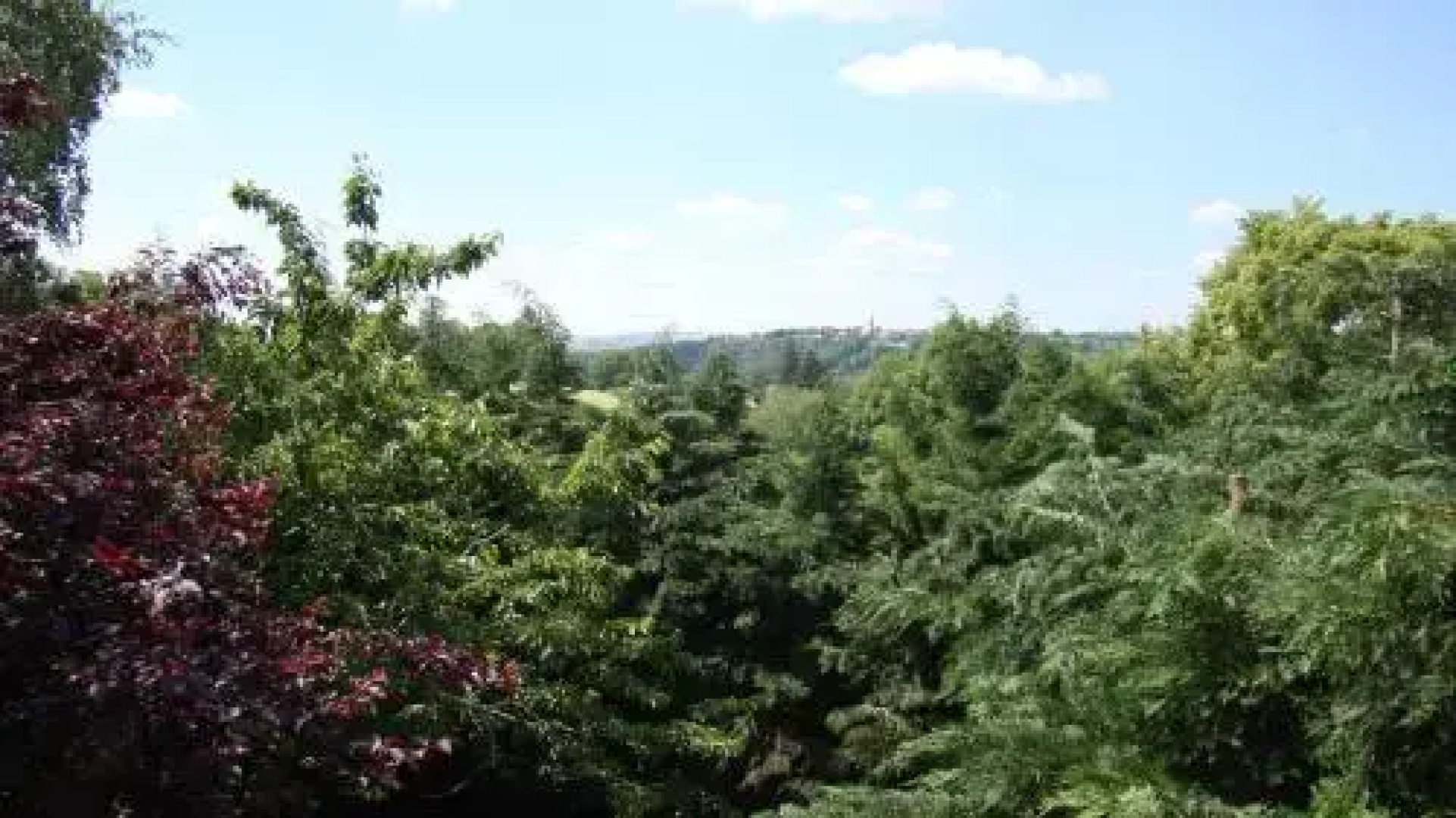 Rêve de Môme