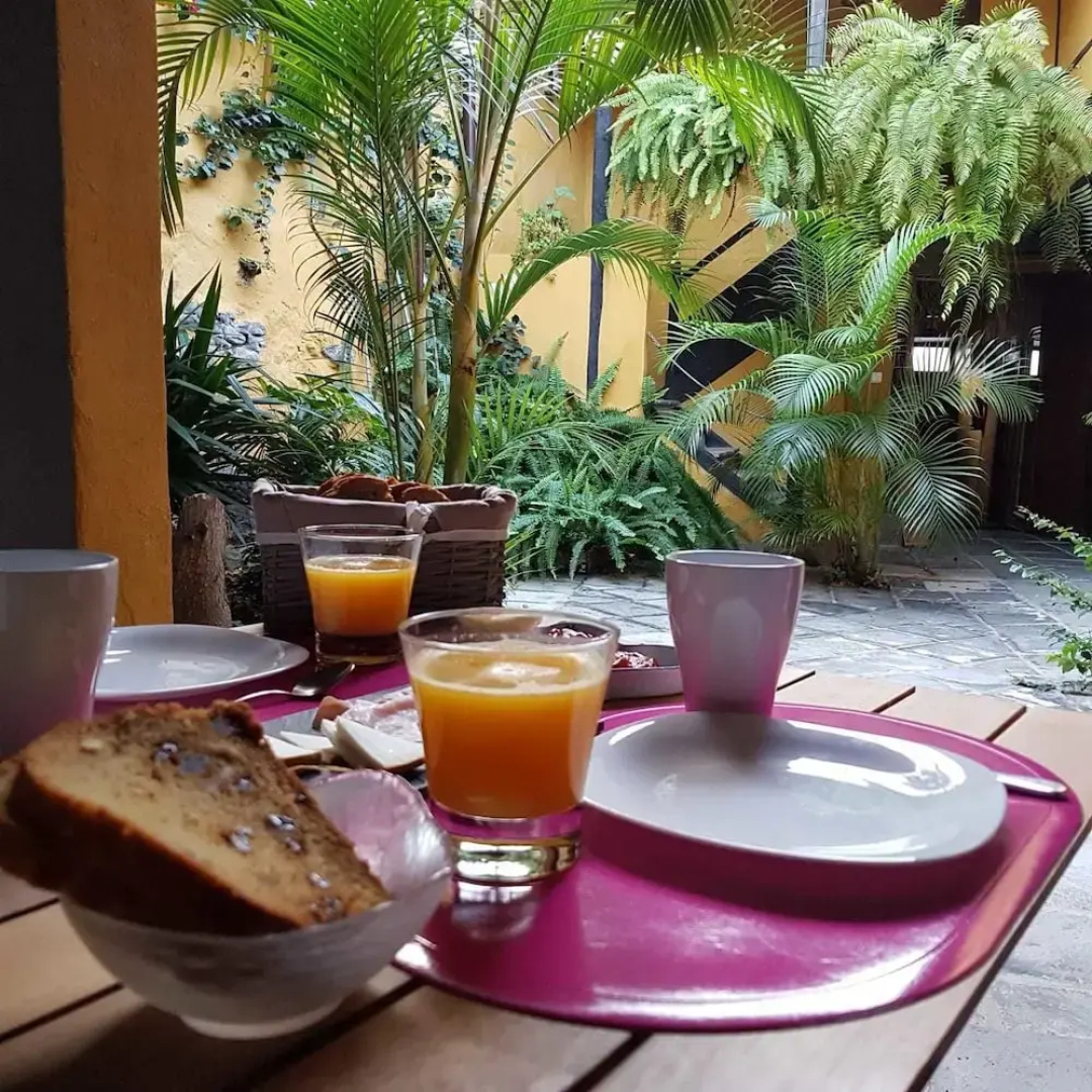 Casa La Moringa
