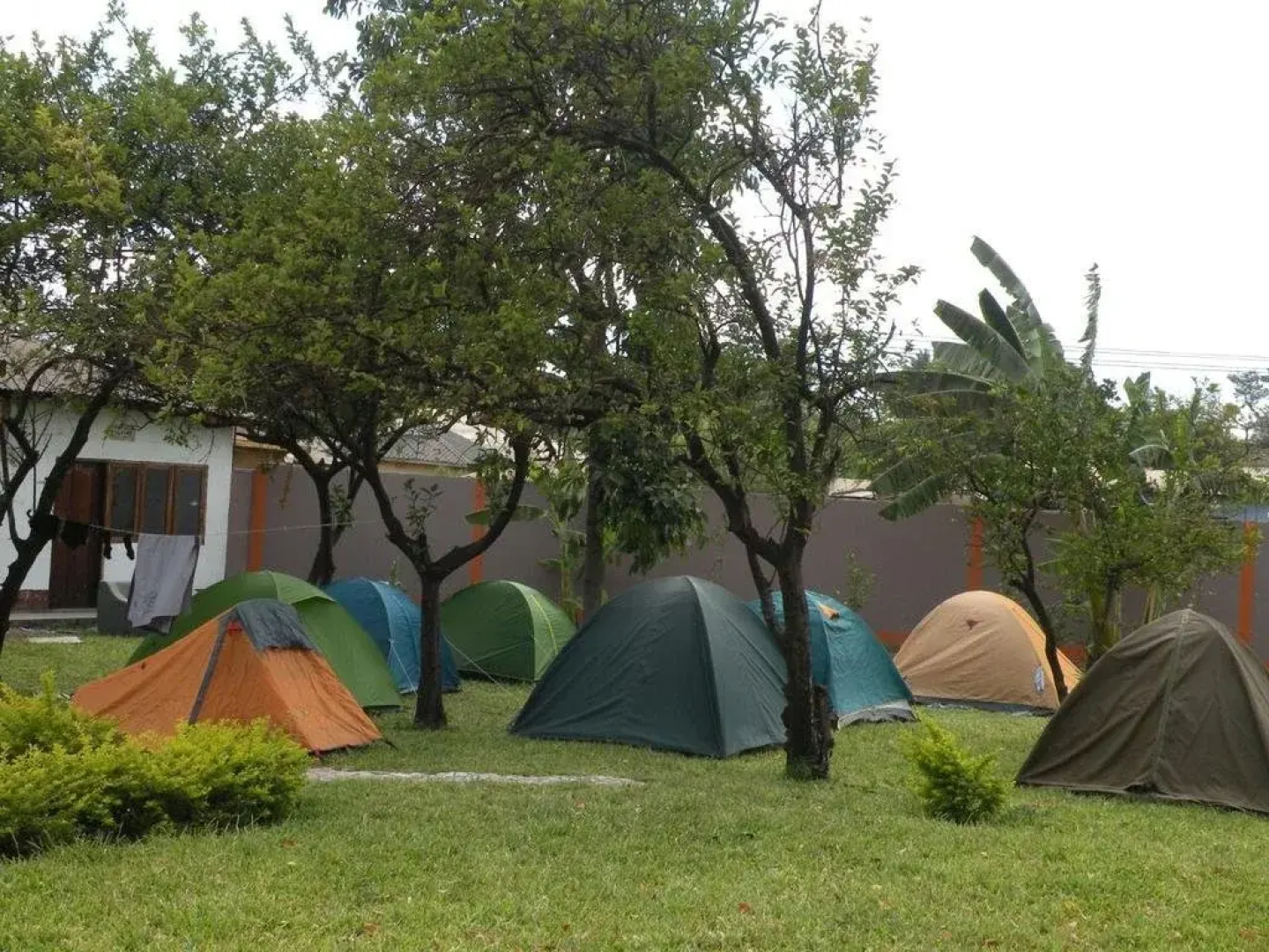 Fig Tree Lodge Camp