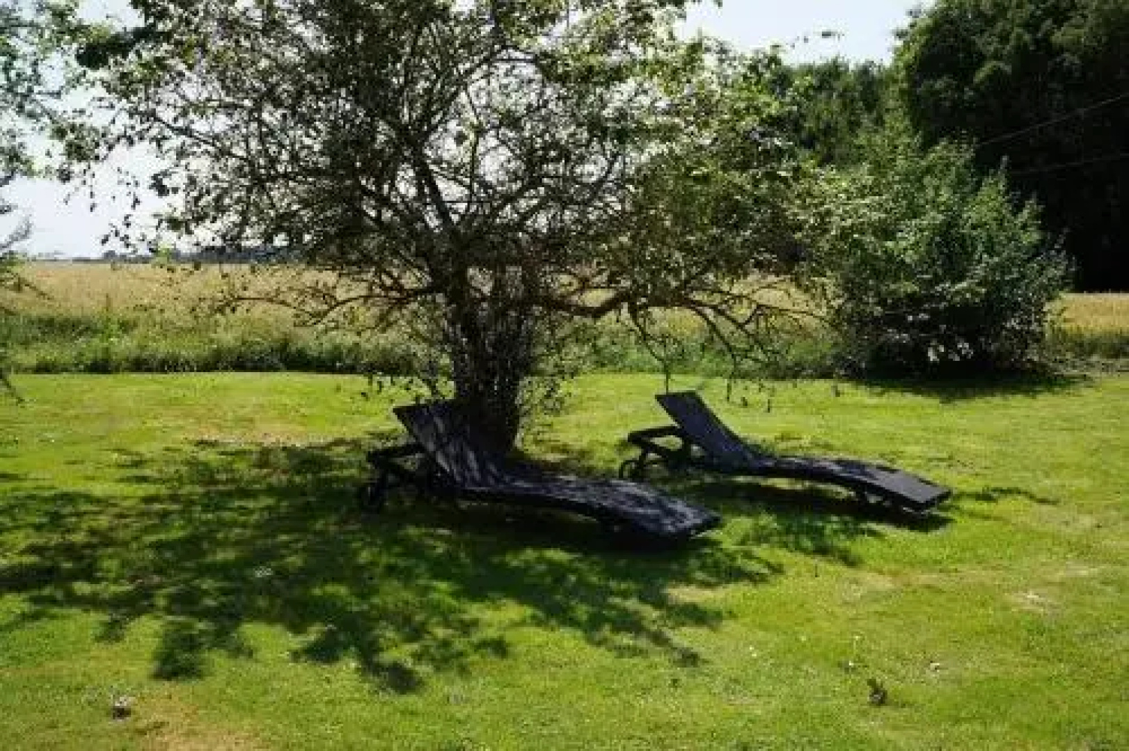 La Petite Chevêche