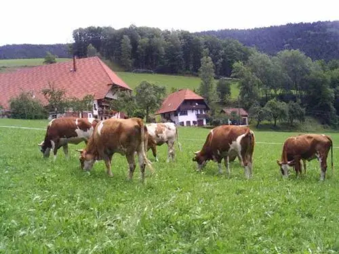Deckerhof
