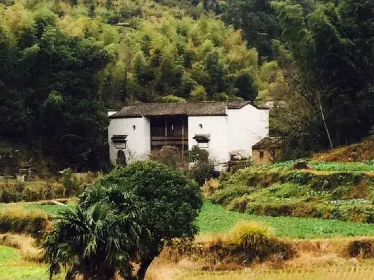 Wu Yuan Smile Family Guest House