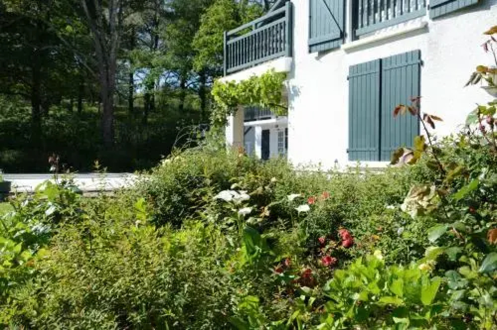 Golfetmer Studio
