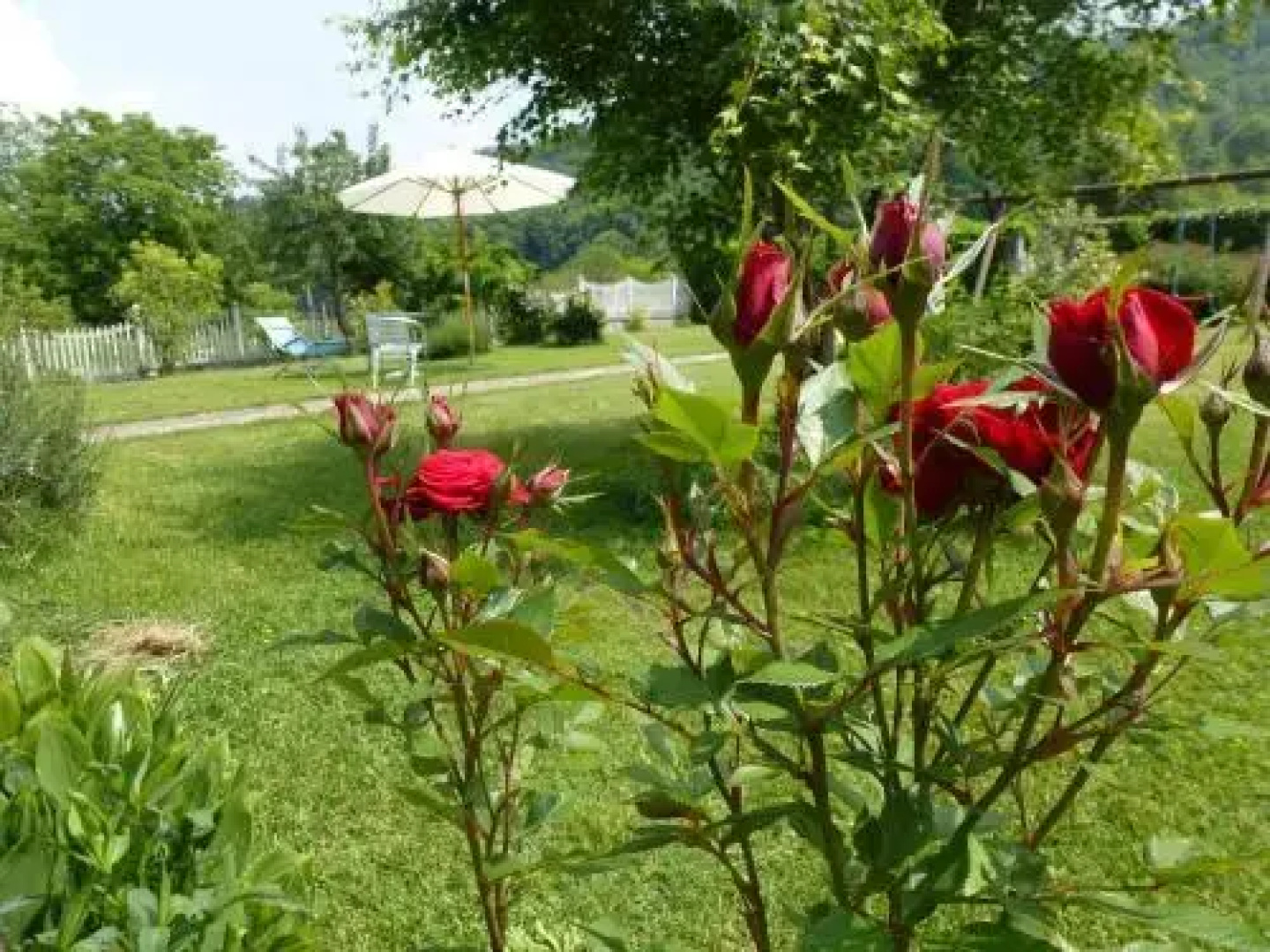 Il Ranch di Mary B&B