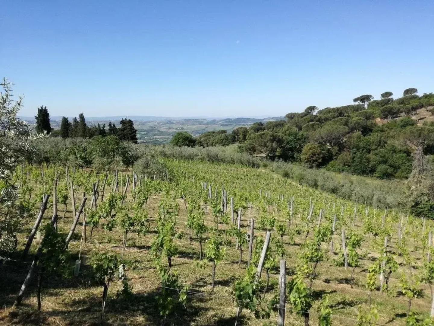 Agriturismo La Tinaia