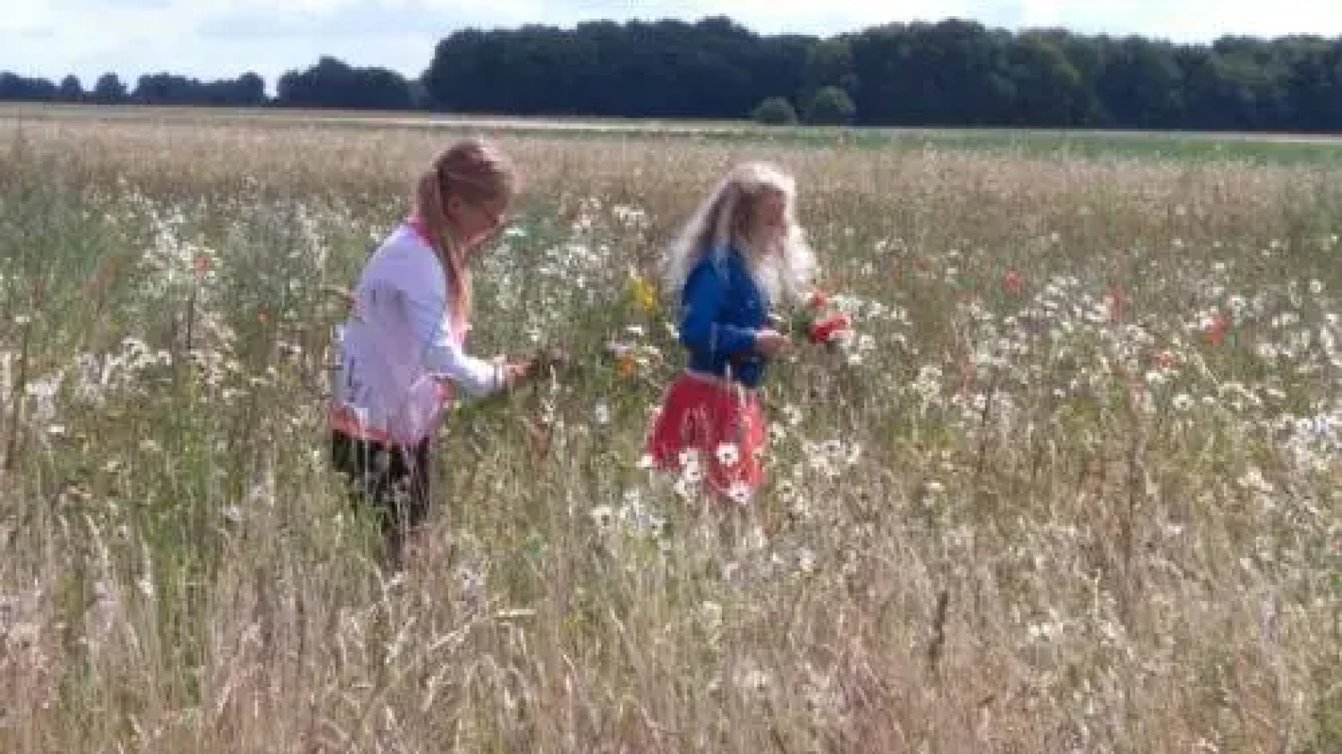 B & B het groene hart