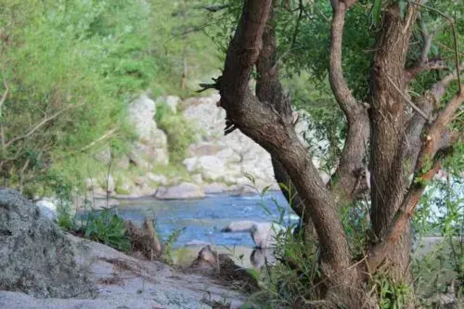 Serranias Del Tabaquillo