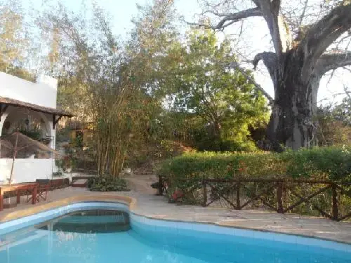 Tropical Garden House