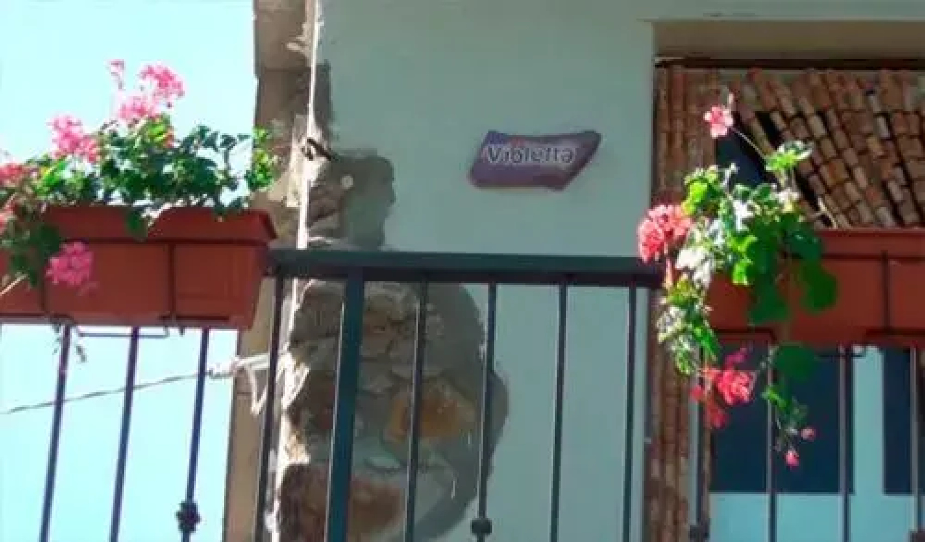 Rosadimaggio