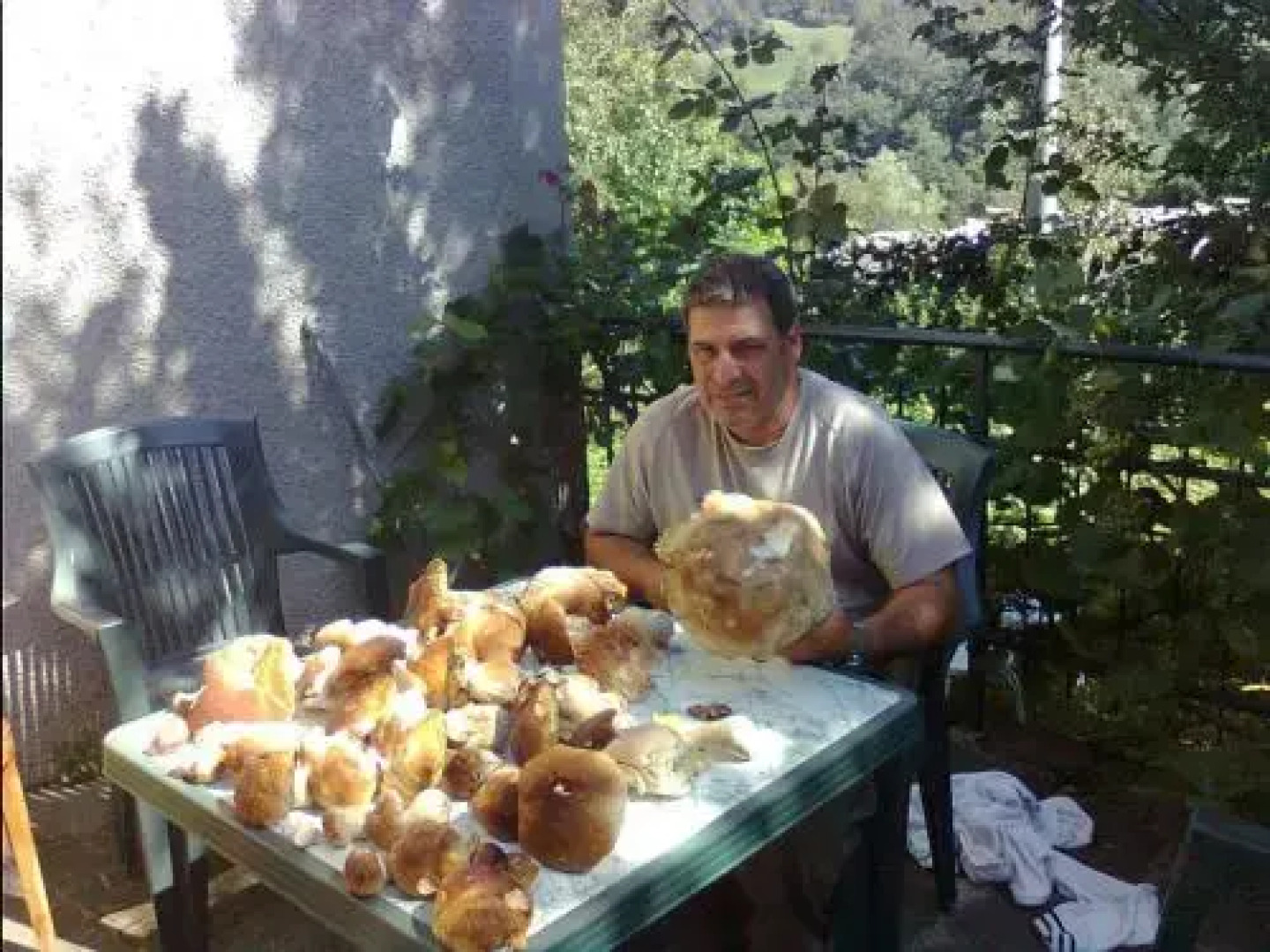 B&B Il Bosco delle Fate