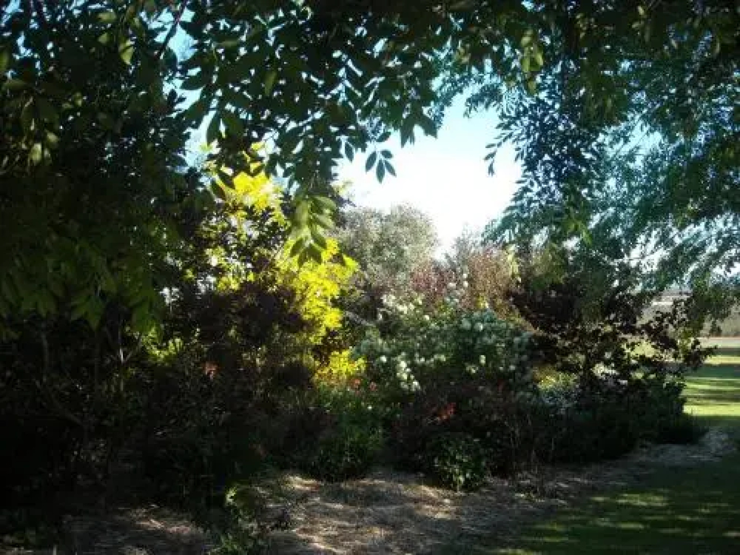 Jilba Cottage