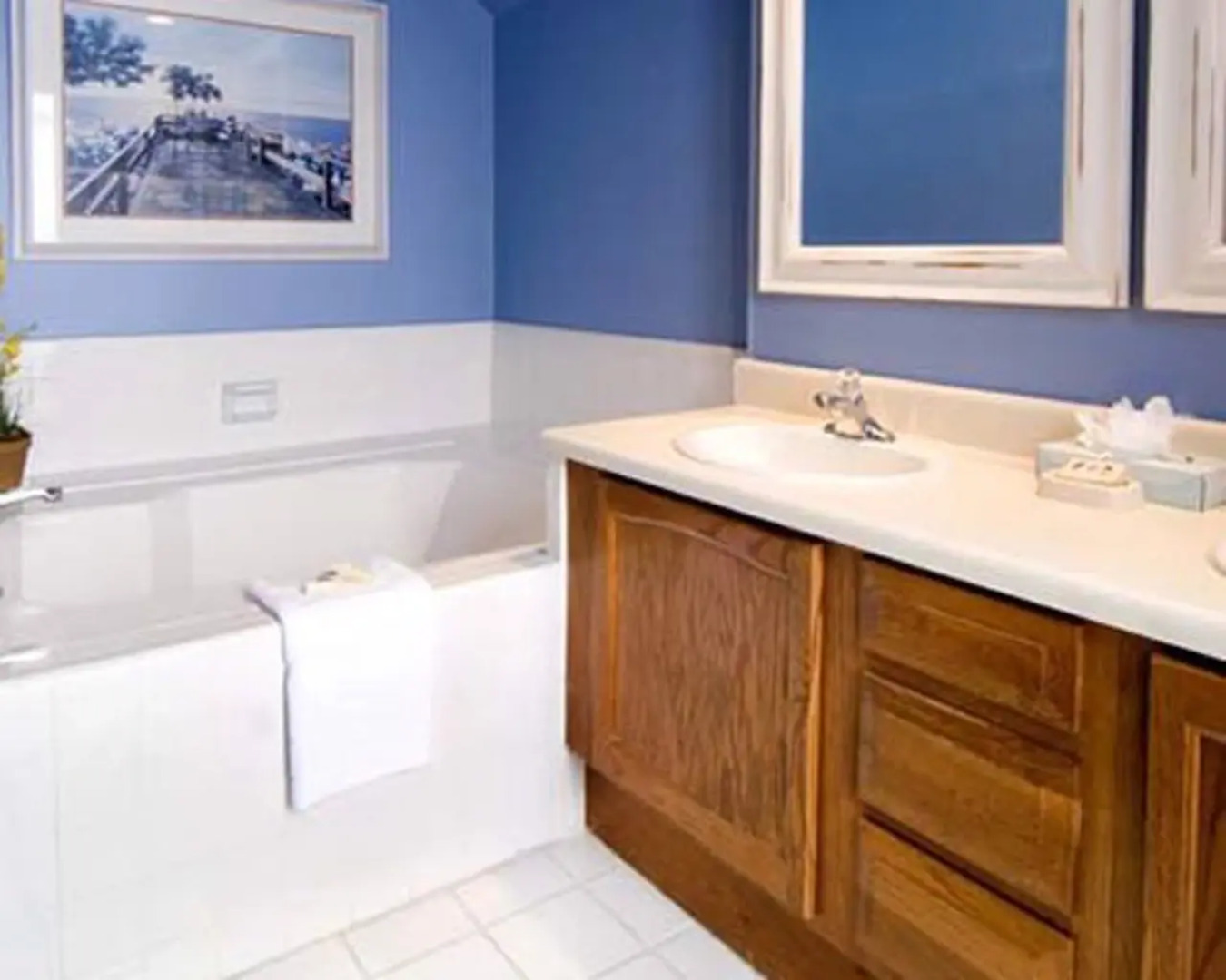 Spicebush at Sea Pines Resort