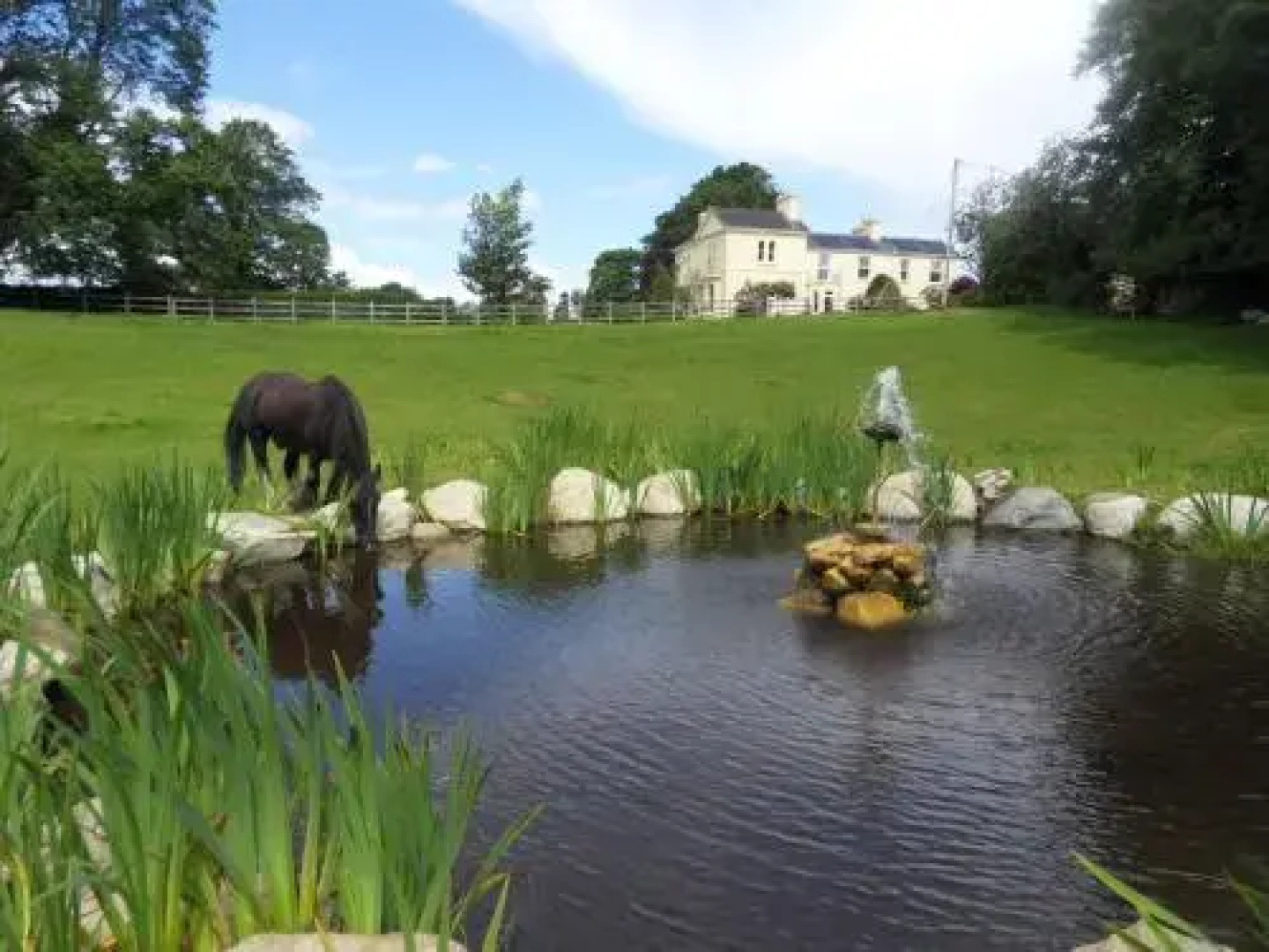 Carriglea House