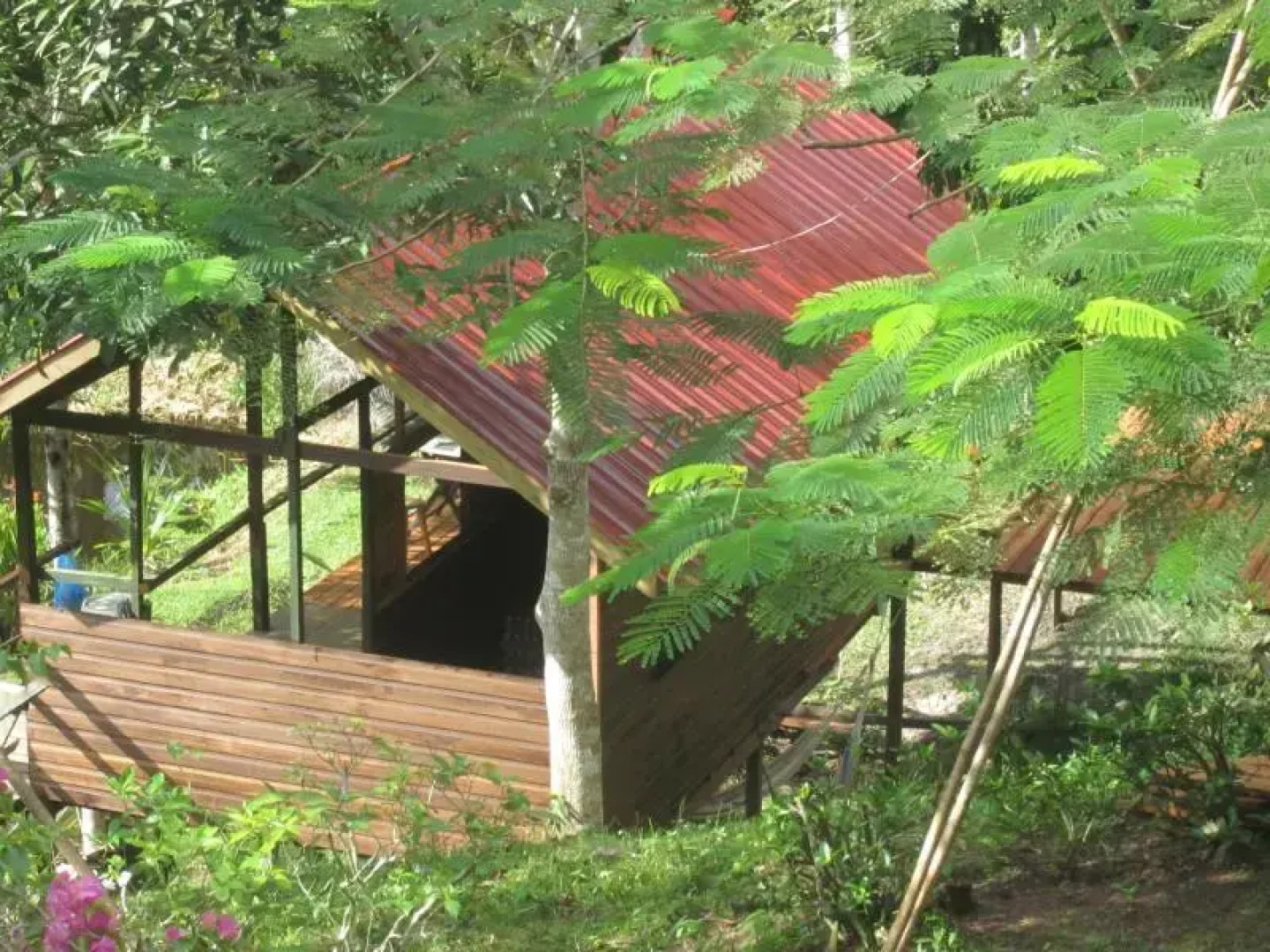 Treetops Jungle Lodge