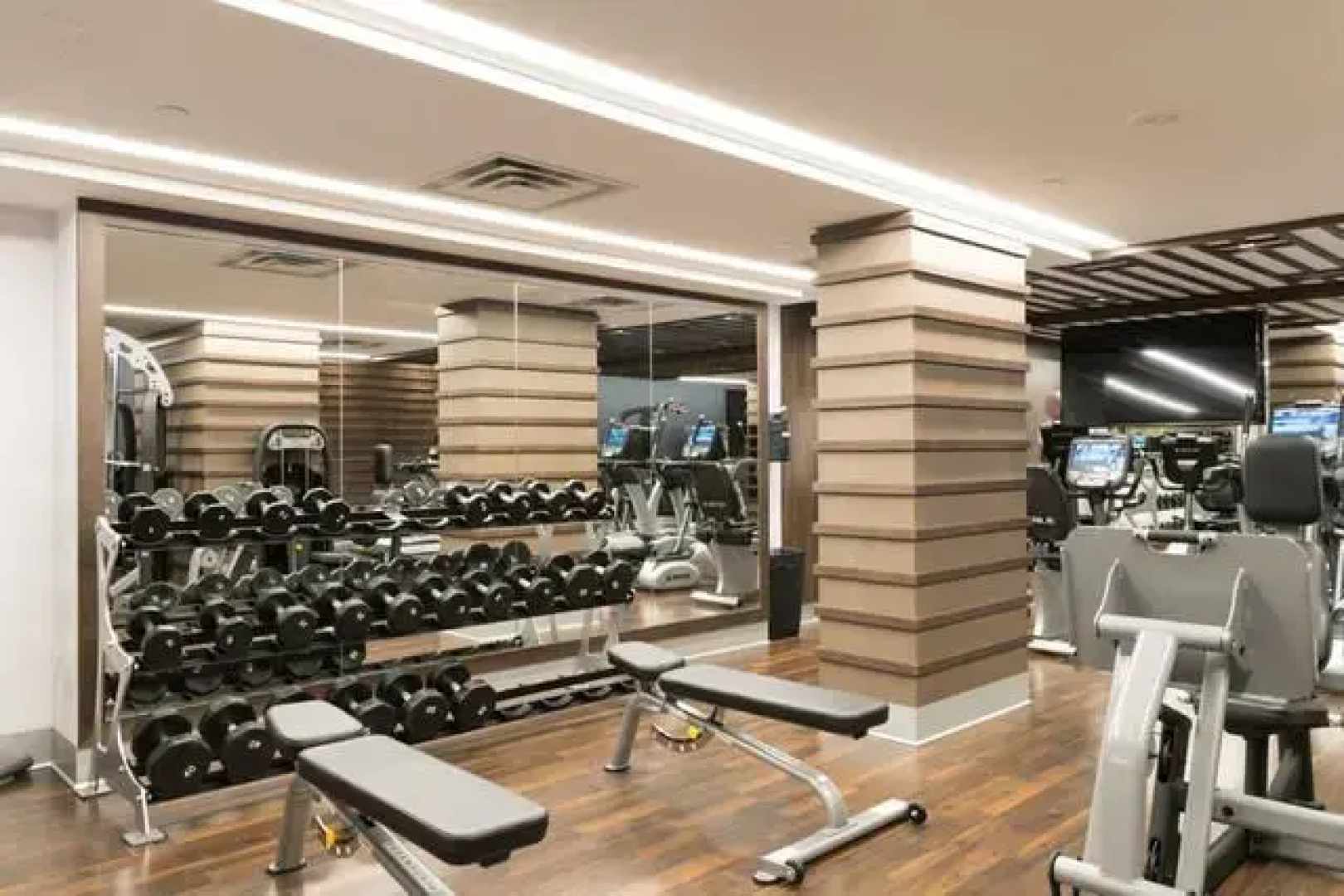 LM Stays - Condo in the Glebe