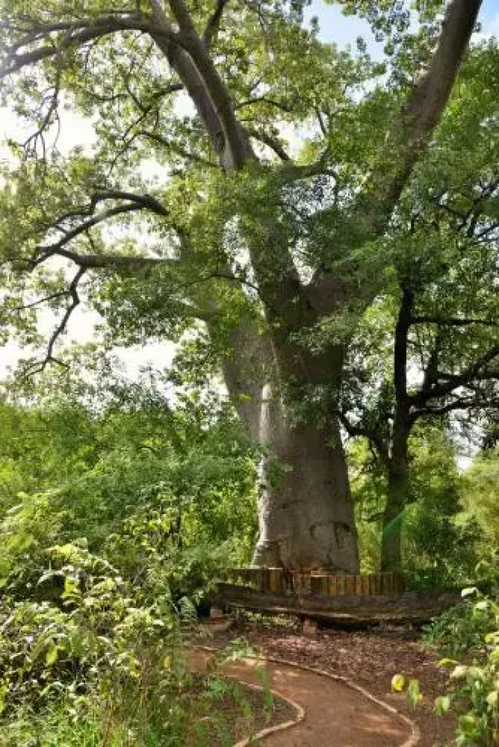 Muchenje Self Catering Cottages