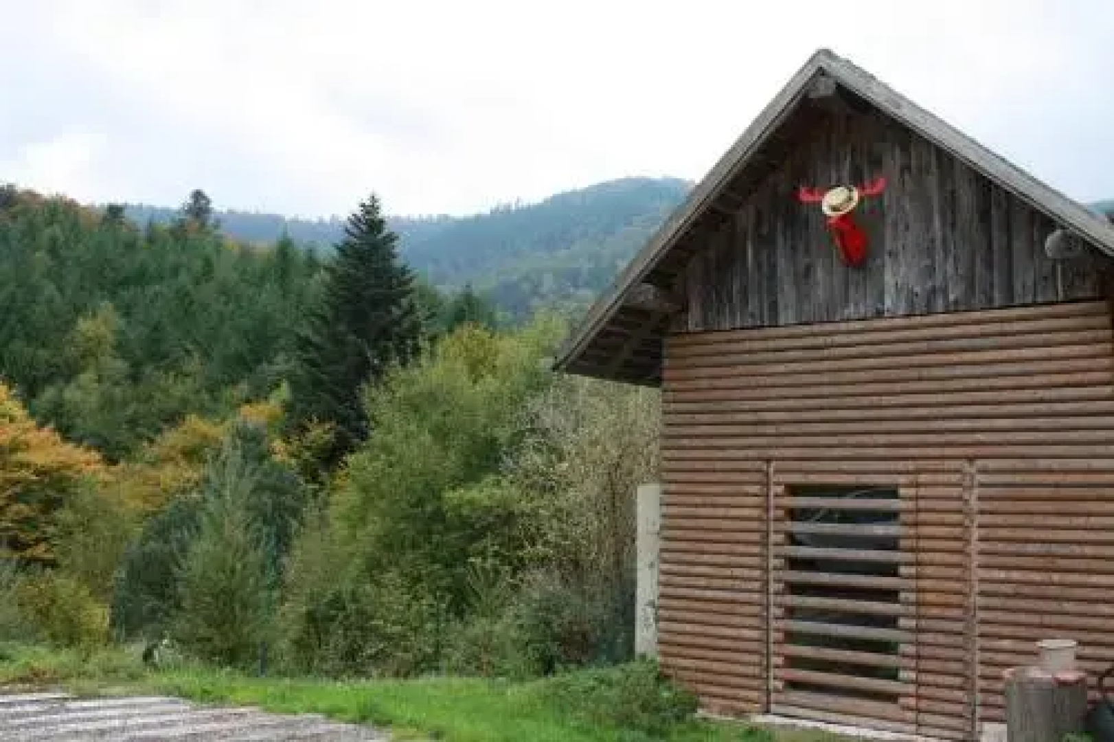 À L'Orée du Bois
