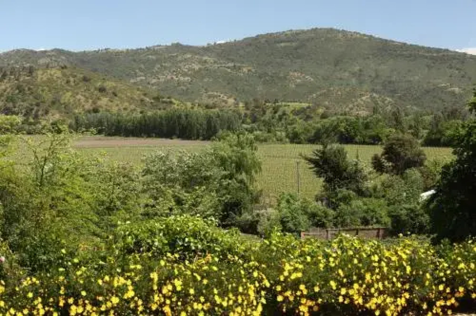 El Cerrillo Bed & Breakfast