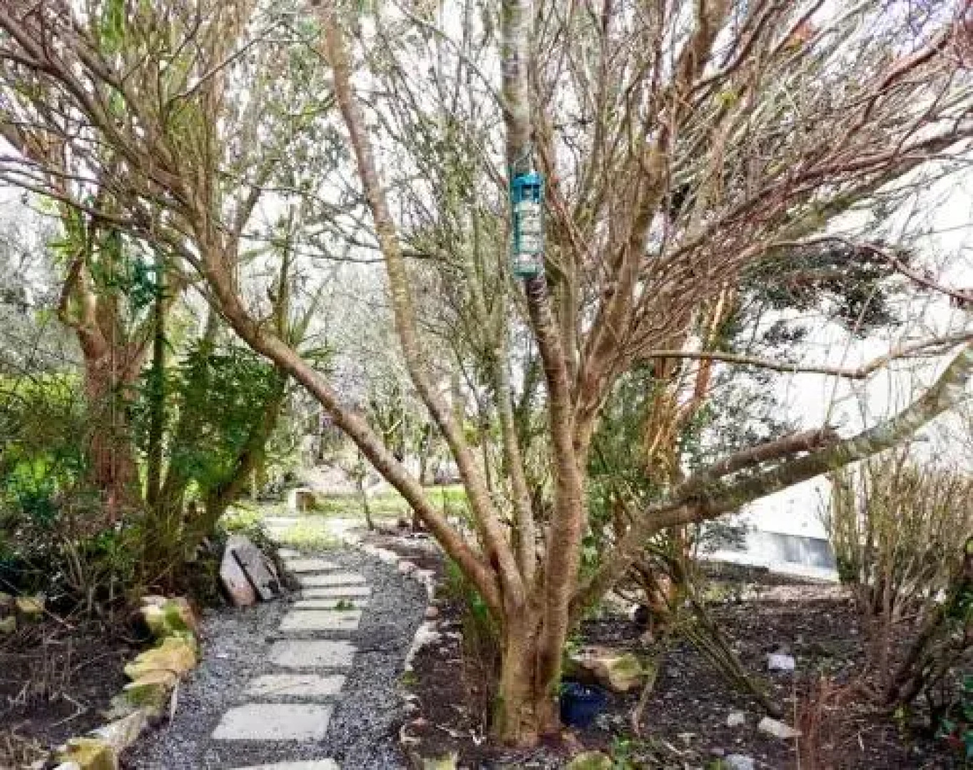 Crown House & Lodges B&B