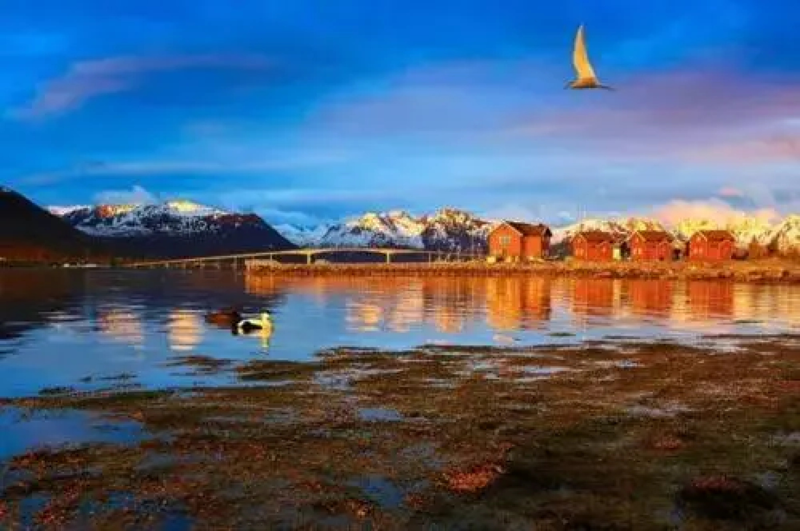 Vesterålen Sjøhushotell