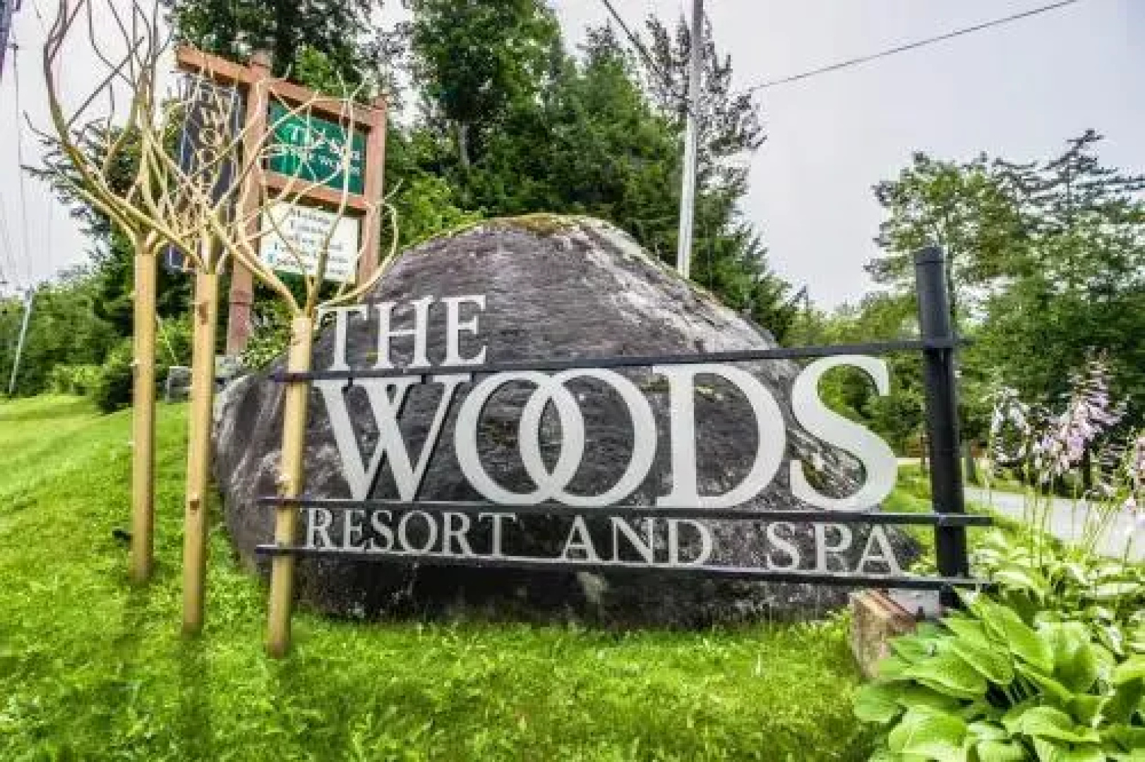 The Woods: Village-14