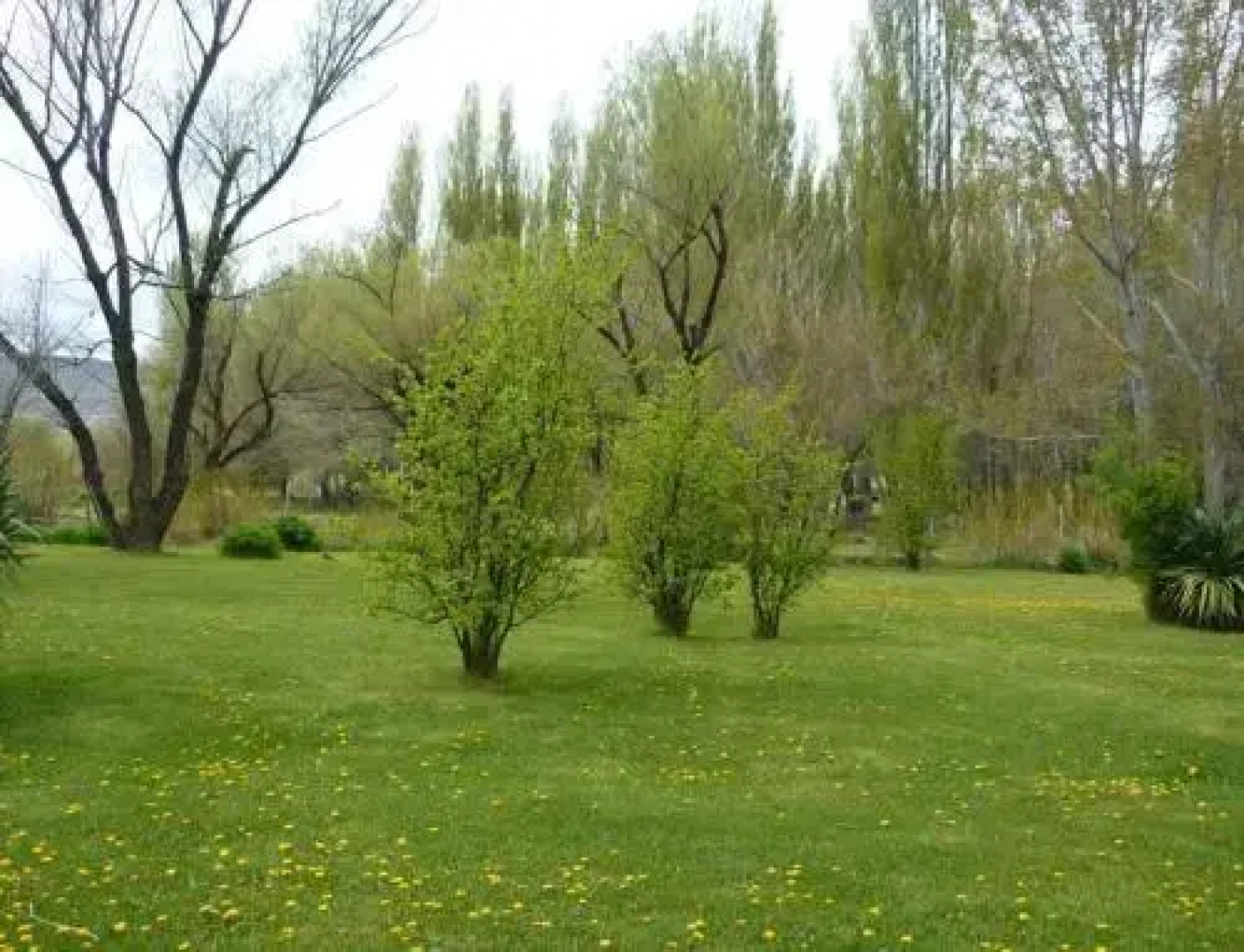 Hosteria Chimehuin