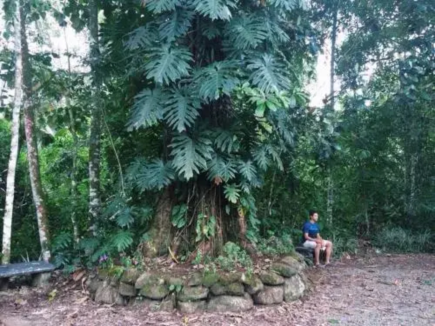 Albergue de Montaña Talari