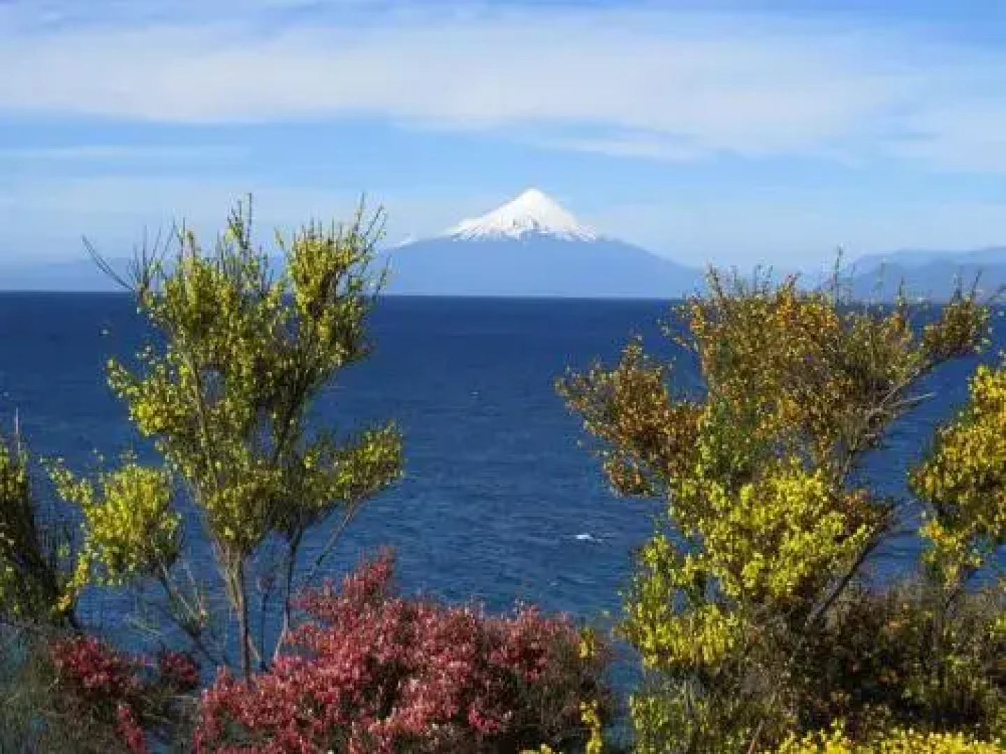 Cabañas Tulipanes del Lago