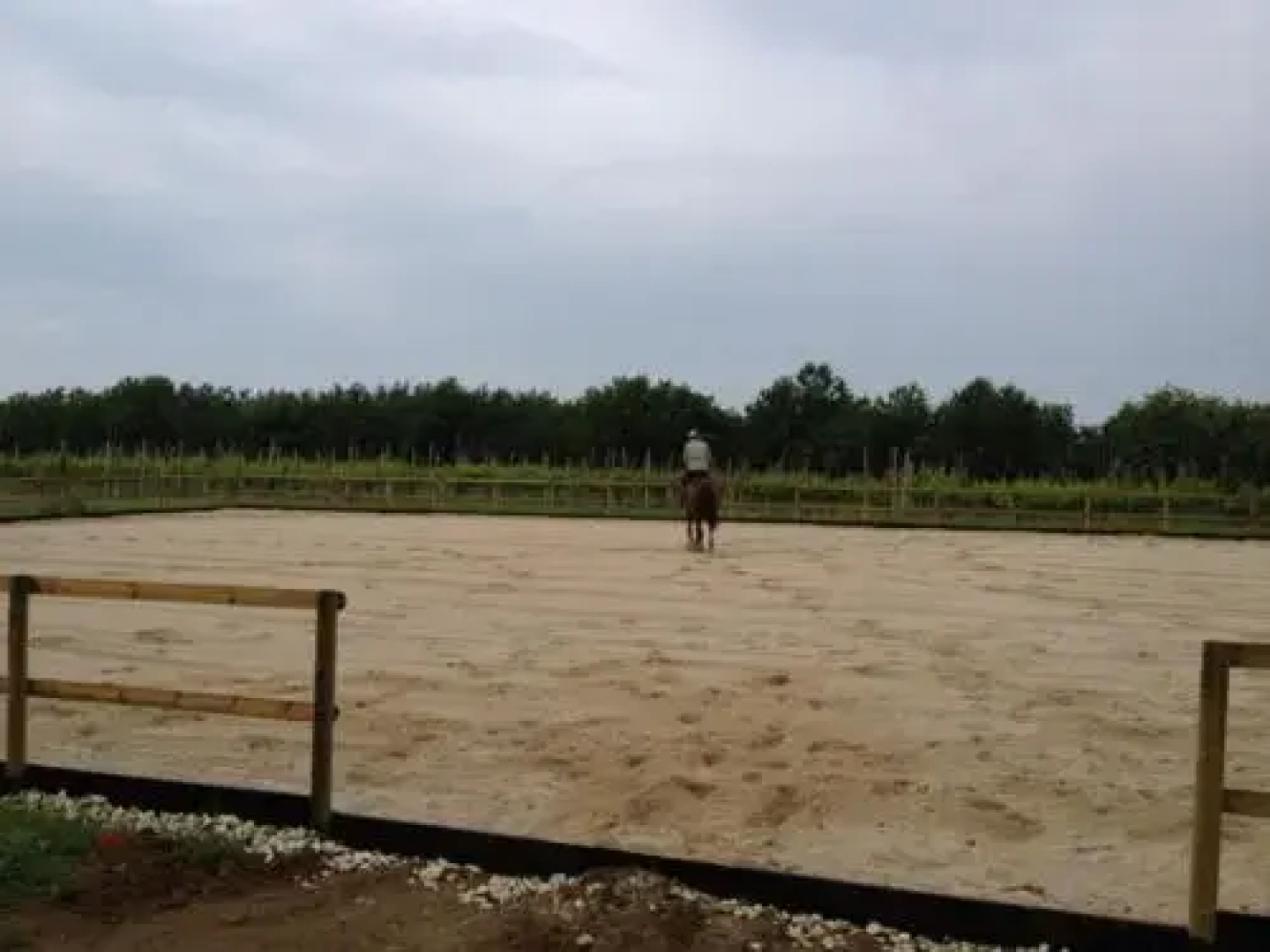 Agriturismo Bonfigli