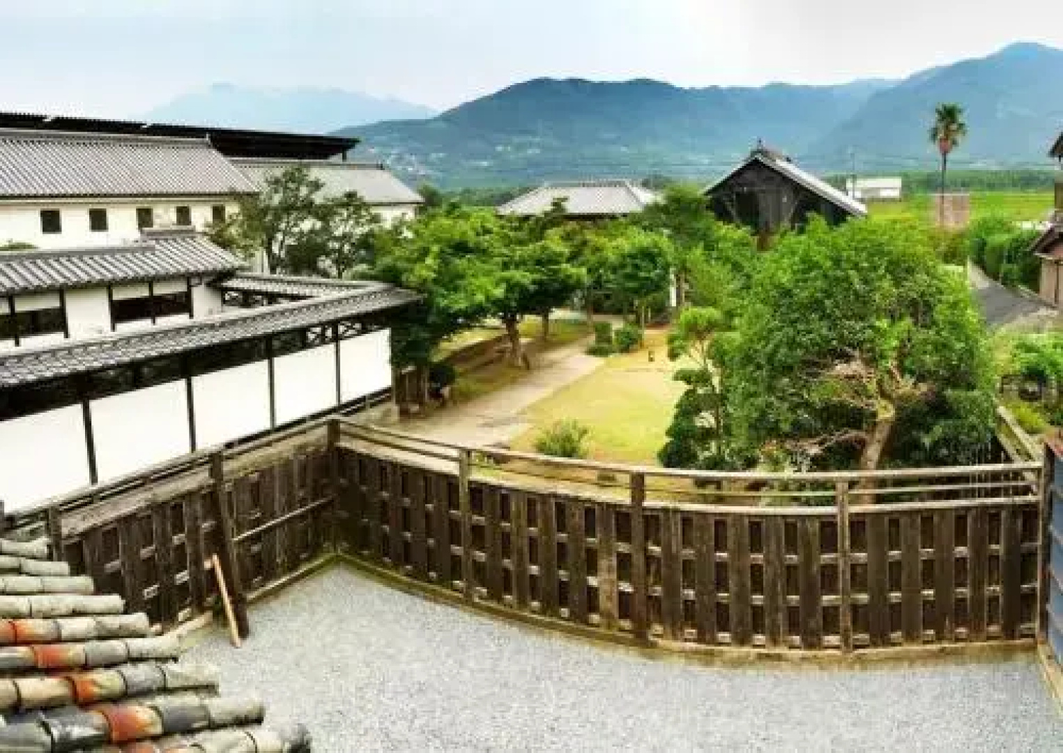 Nodokeya