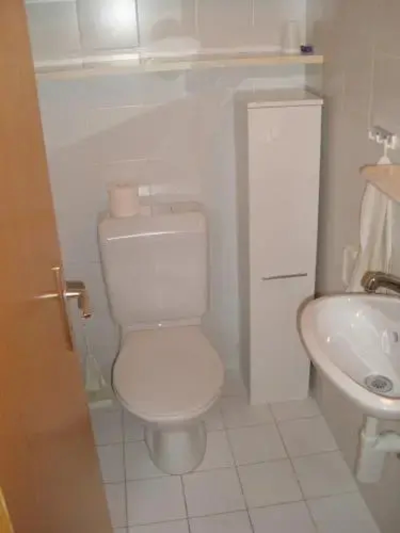 Fontanettaz MOUNTAIN & COSY apartments