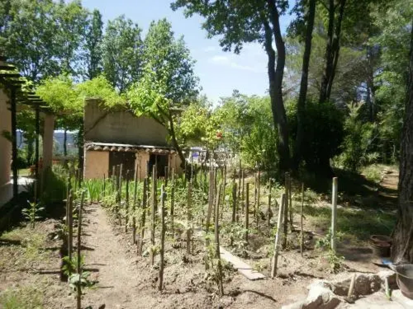 Le Lavandin