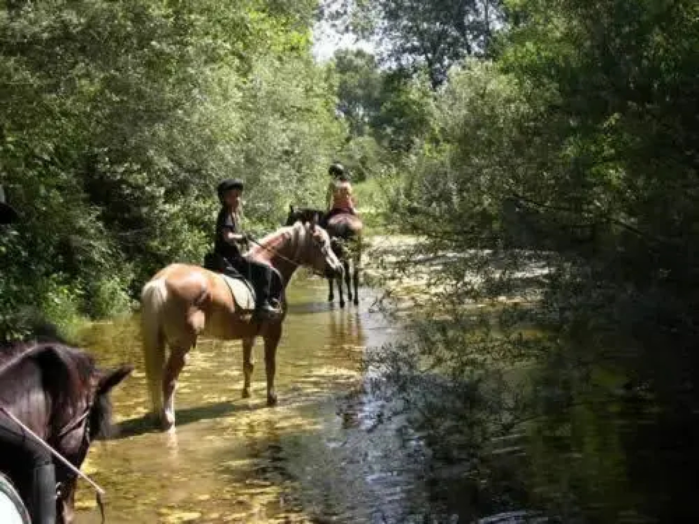 Agriturismo Cerretale