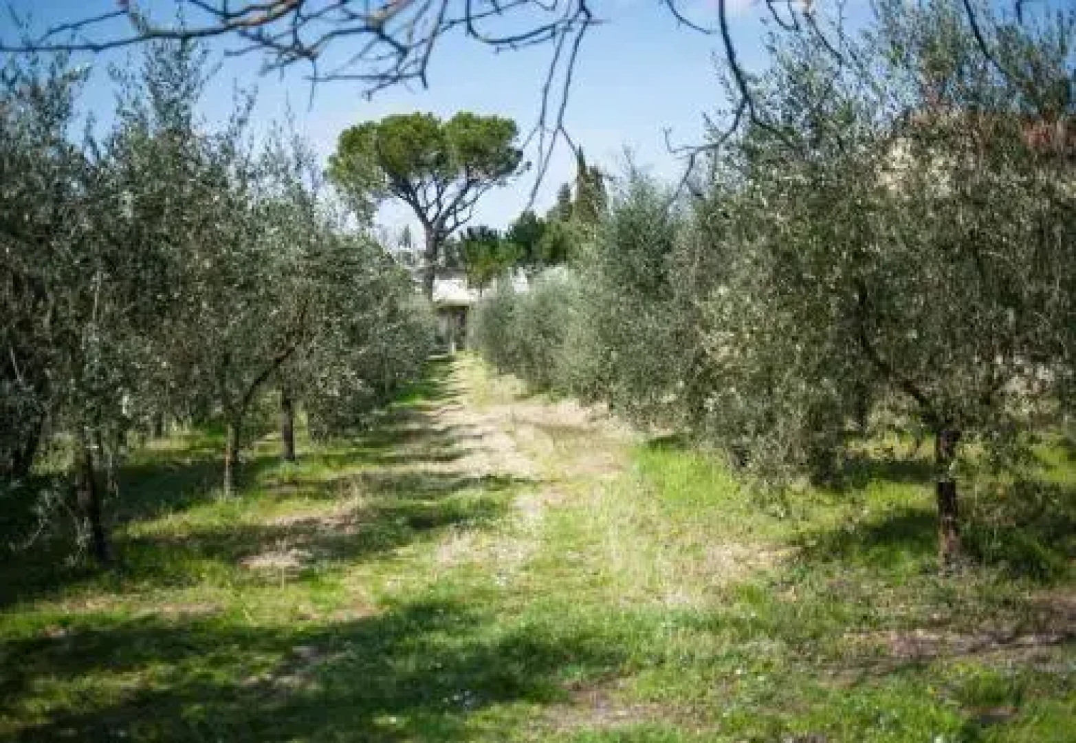 Agriturismo Dipinture