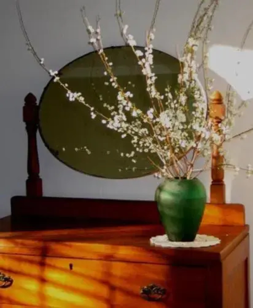 The LemonTree House