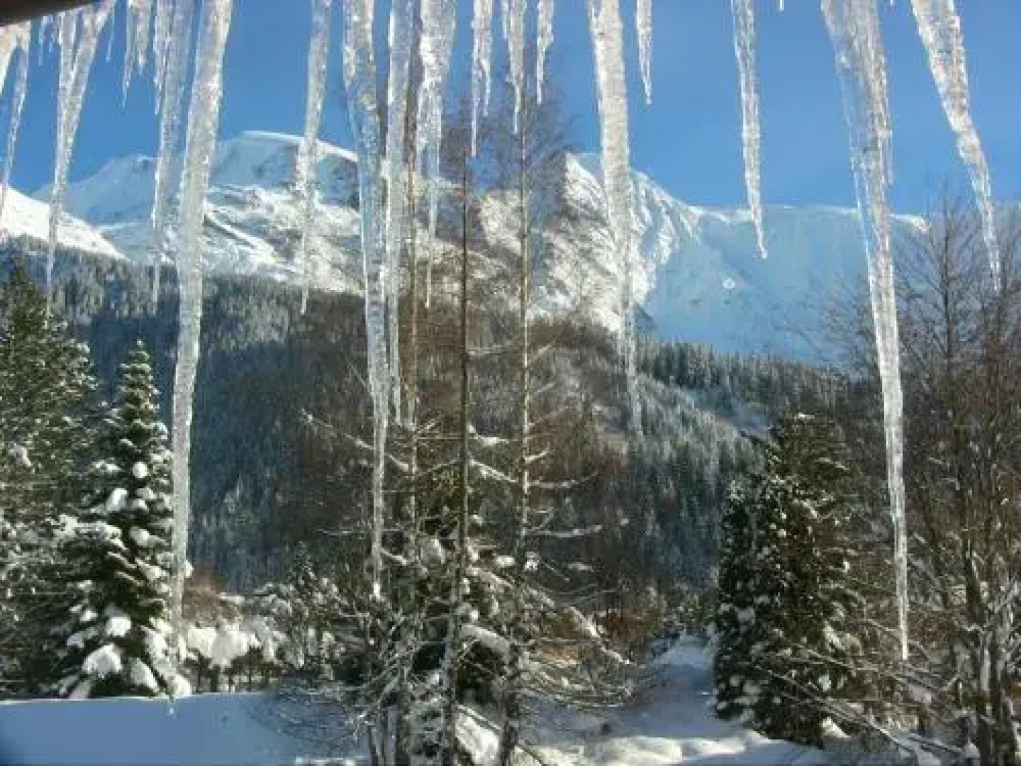 Alpine Lodge 3