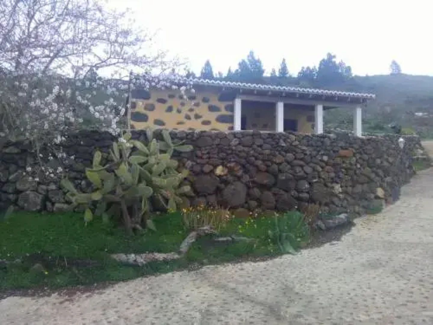 Casa Arriba