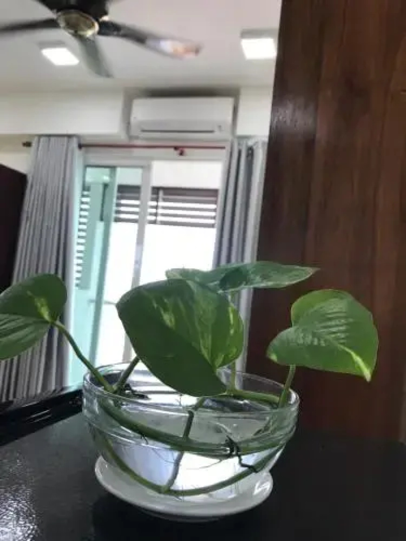 D'Perdana Residence