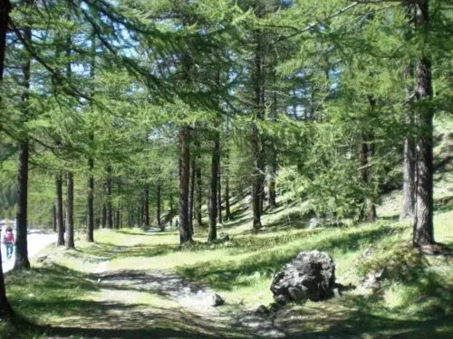 MonChaletSestriere