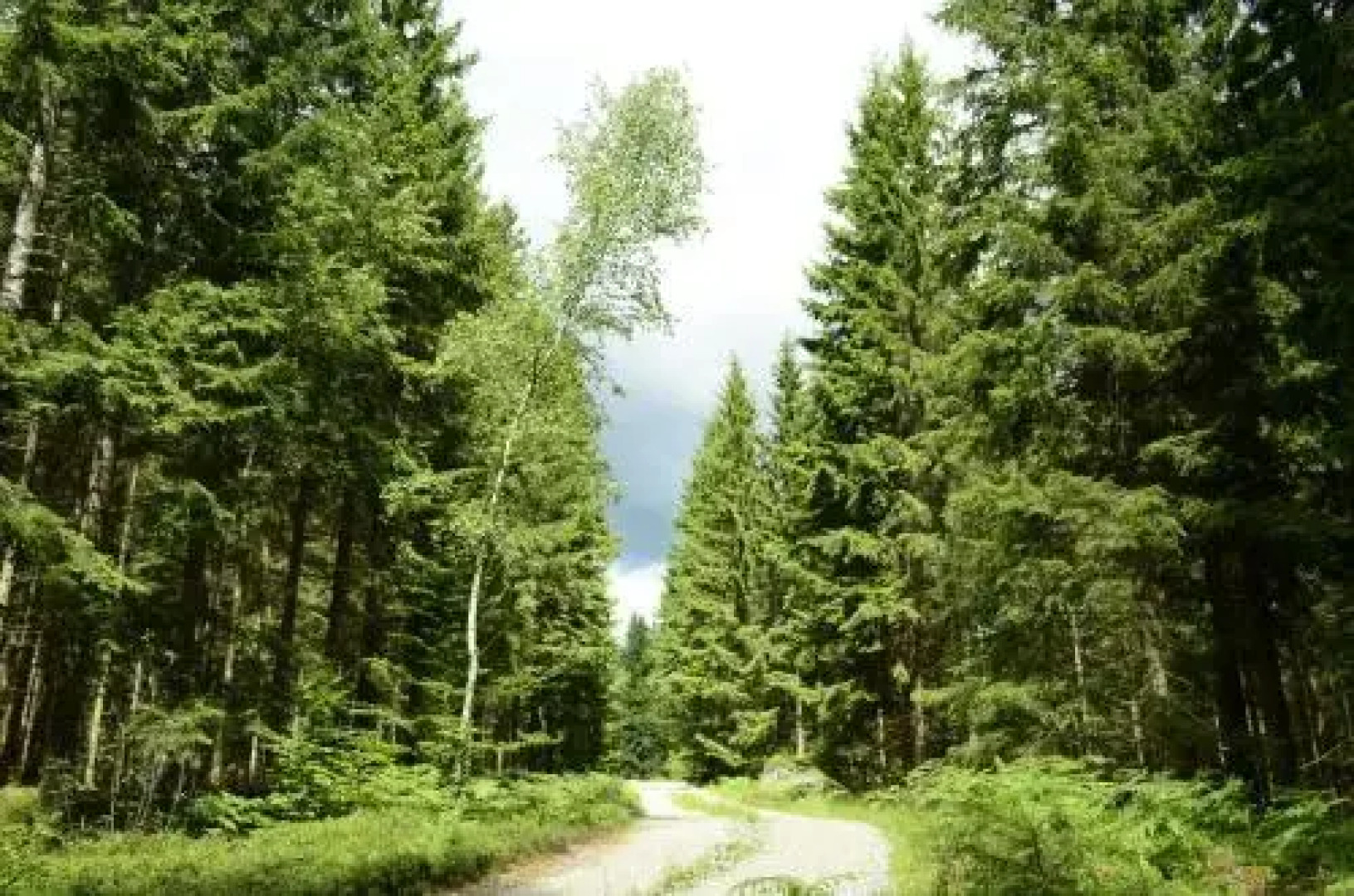 The Morrum River Bed and Breakfast