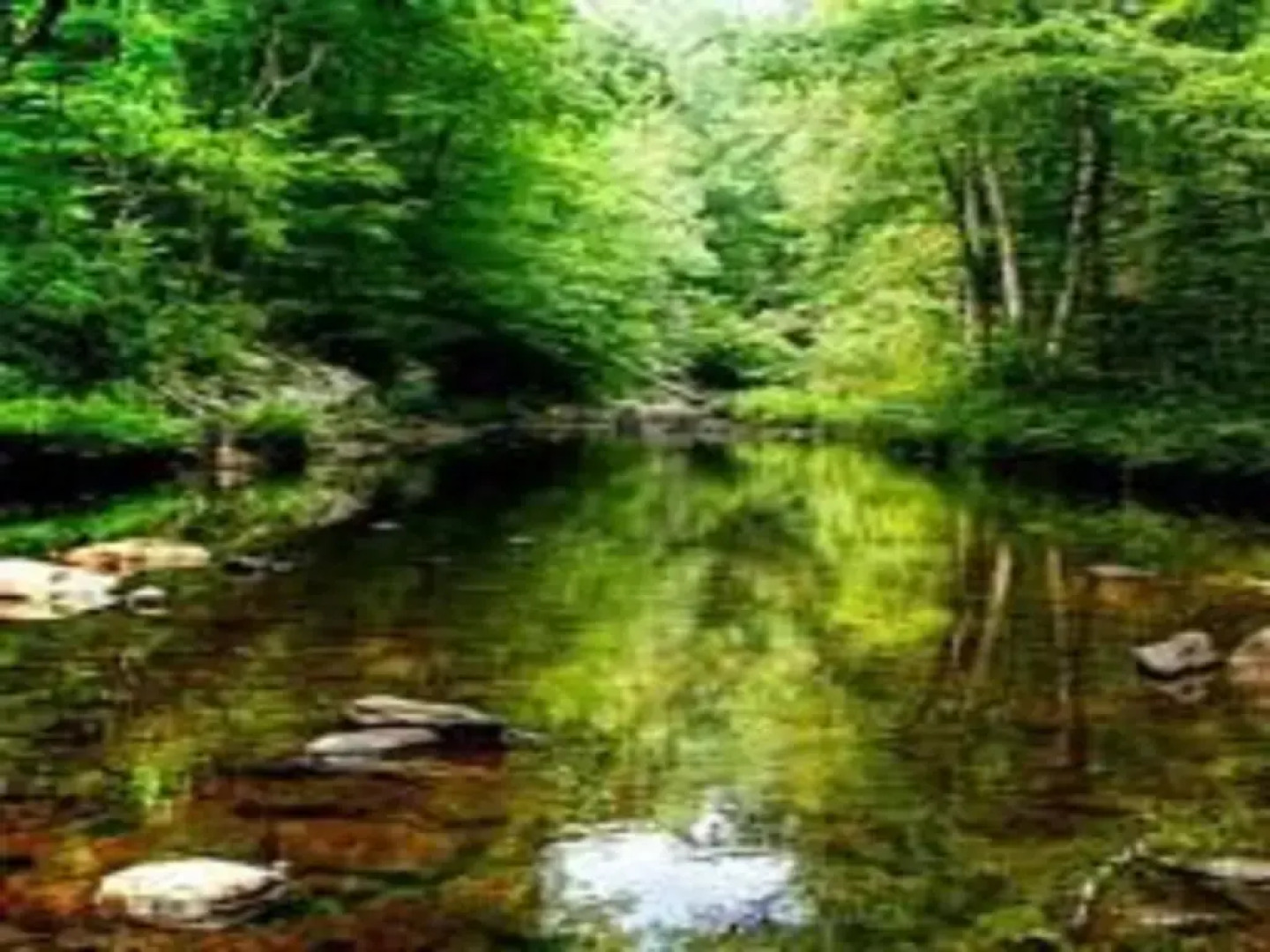Econo Lodge near the Blue Ridge Parkway I-77