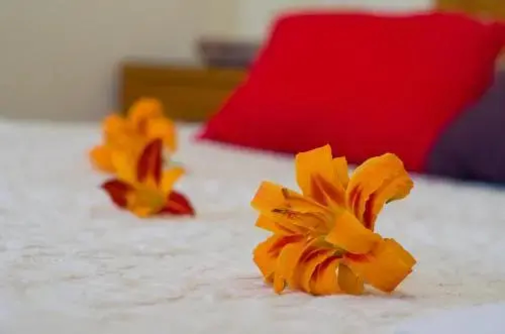 Lorenzo Guest House